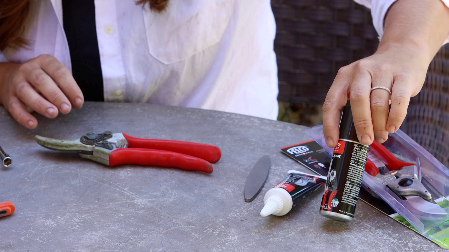 FELCO 980 Maintenance product - Spray VOC free