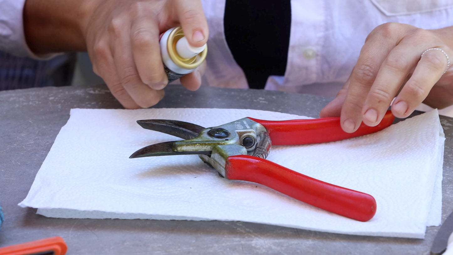 FELCO 980 Maintenance product - Spray VOC free