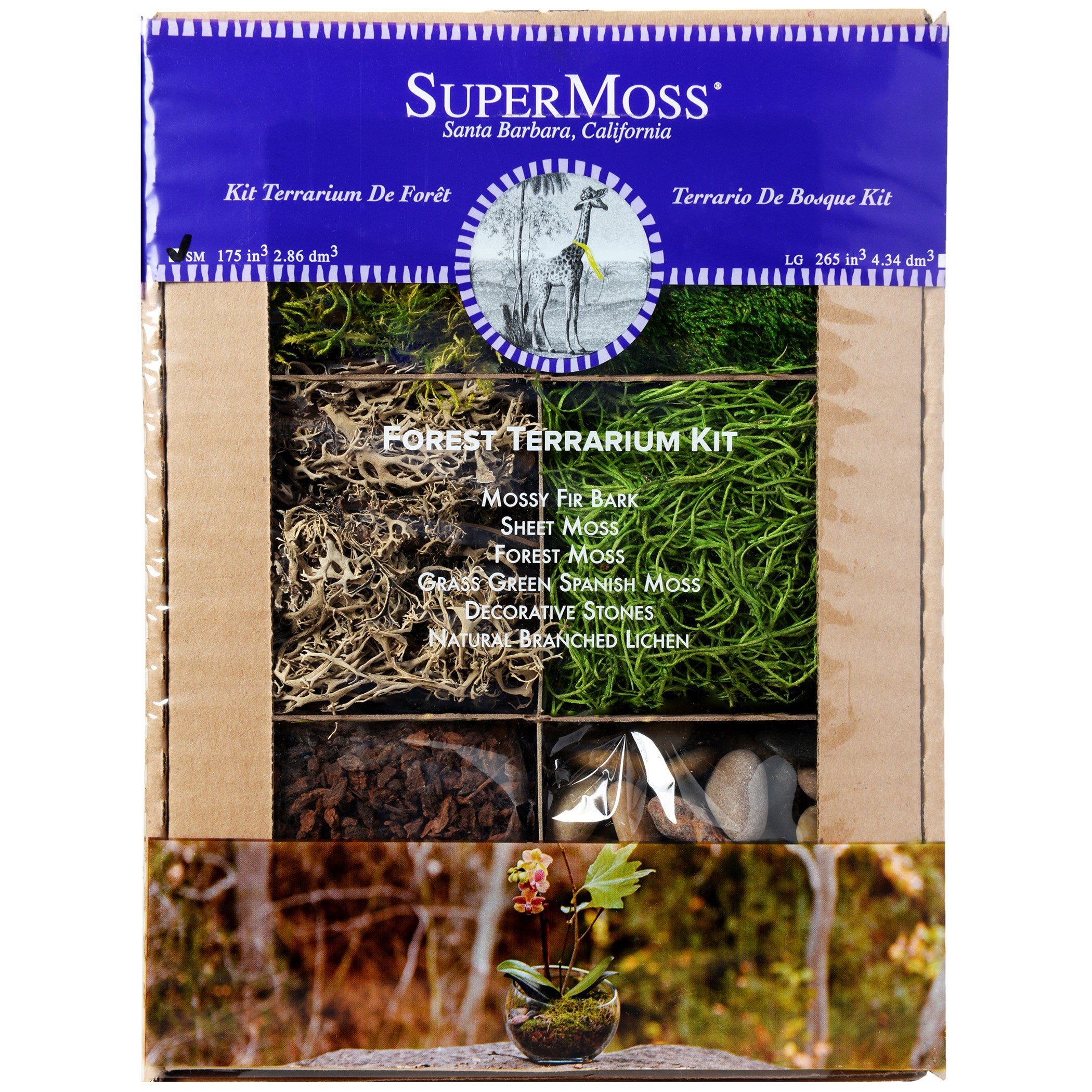 SuperMoss® Terrarium Kit - Forest Kit – Garden Answer