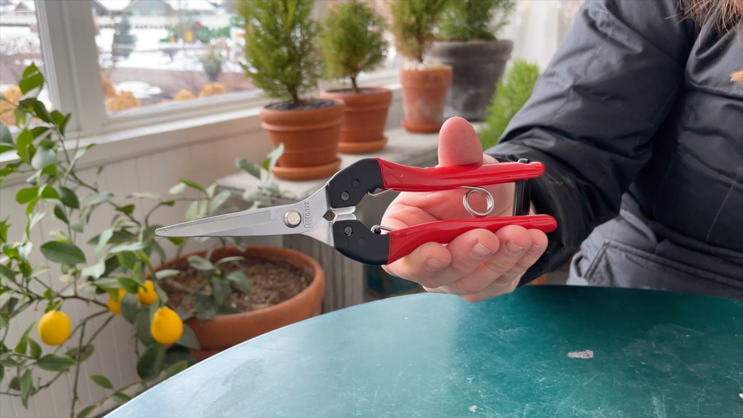 FELCO 322 Picking and trimming snips with steel handles, straight chromium blade.
