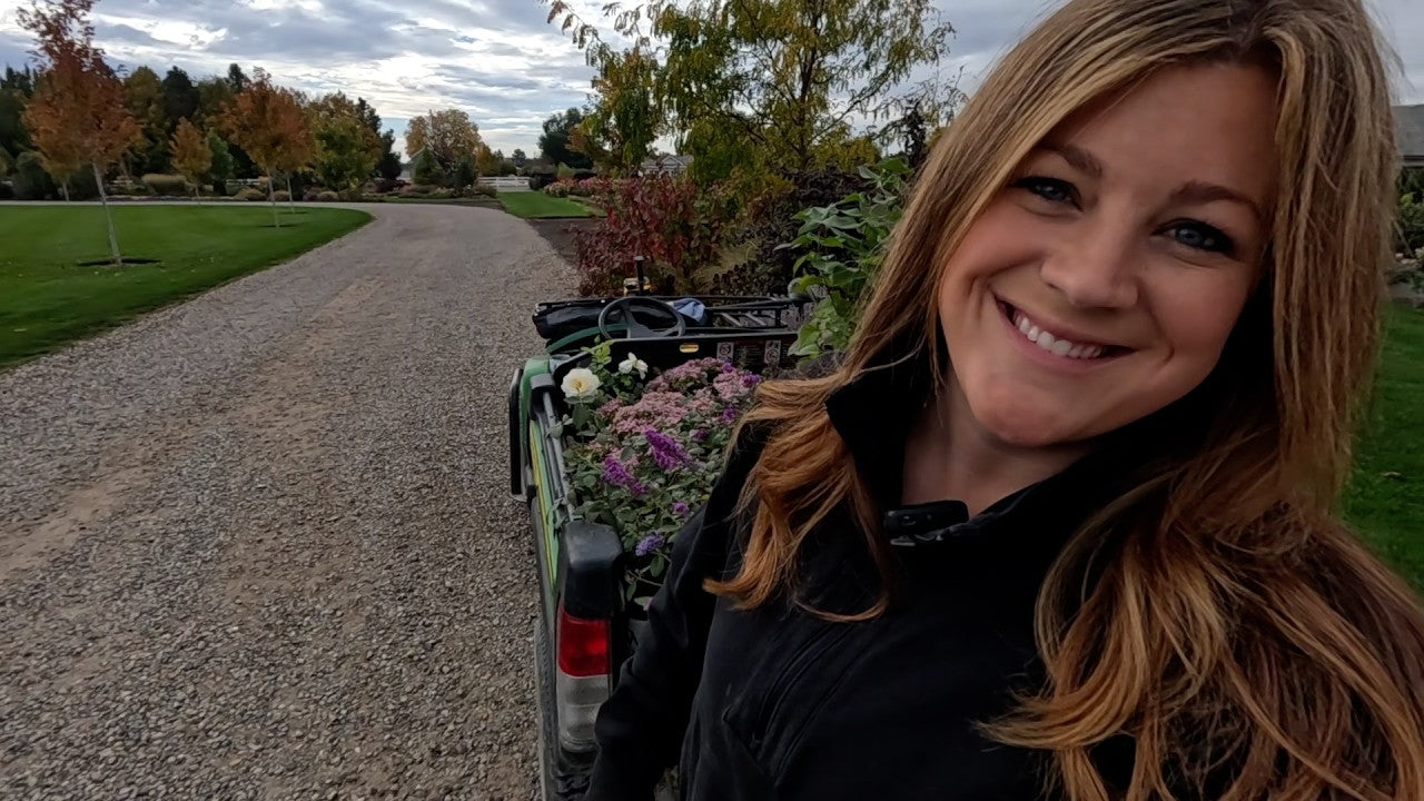 Planting a Bunch of Beauties: Lilacs, Sedum, Roses & a Butterfly Bush!