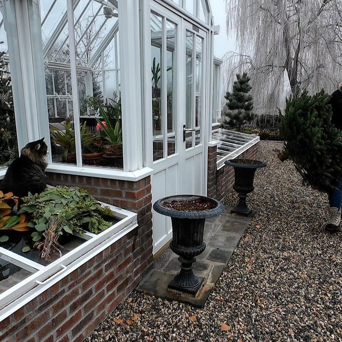 Outdoor Christmas Containers for the Hartley & Potting Rex Begonias!