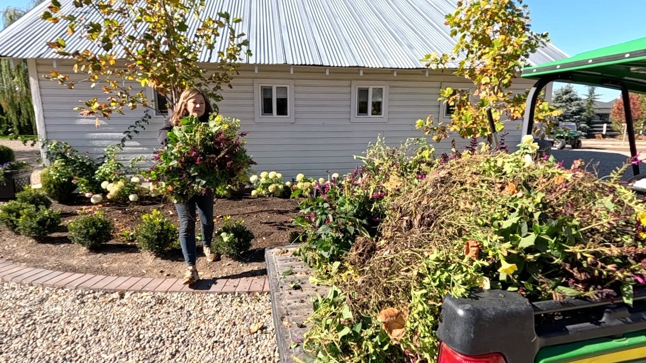 laura carrying plants