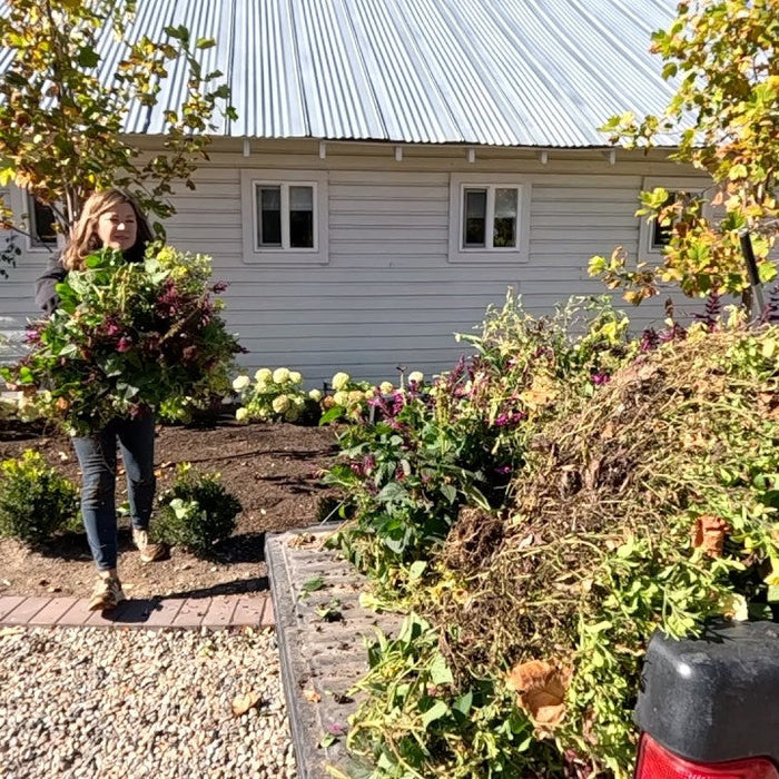 laura carrying plants