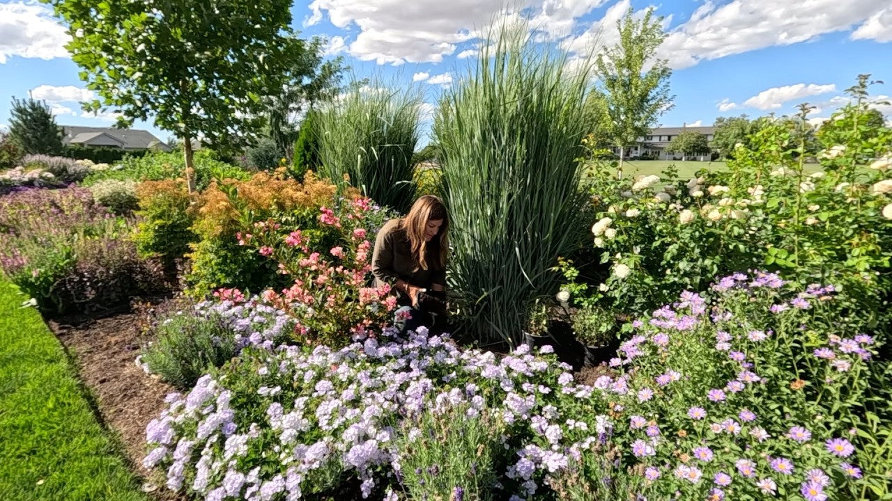 Garden Answer Blog