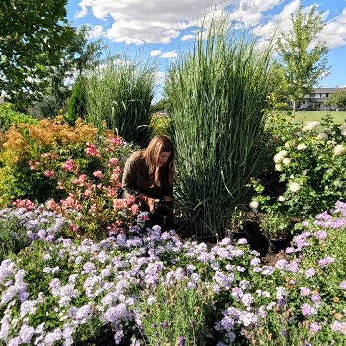 Garden Answer Blog
