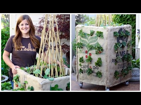 DIY Grow Box (Vertical Gardening)