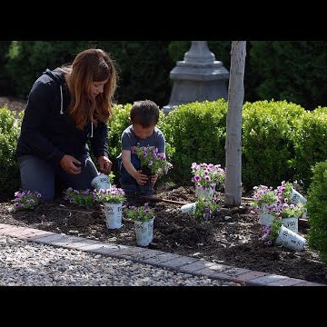 Planting Annuals in the Ground + 10 More Self Watering Containers!