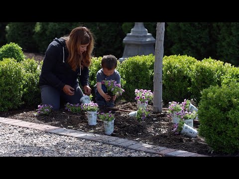 Planting Annuals in the Ground + 10 More Self Watering Containers!