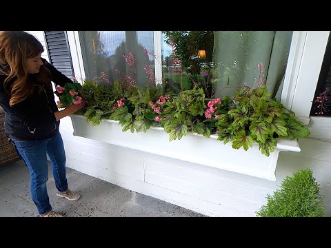 Planting Full Shade Window Boxes!