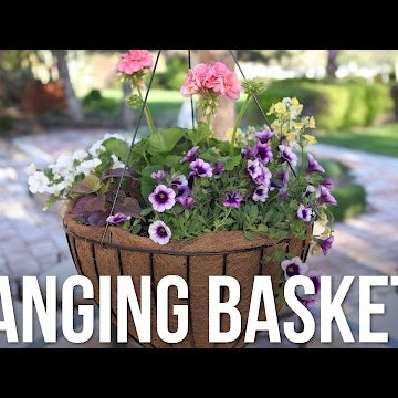 Hanging Baskets