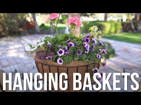Hanging Baskets