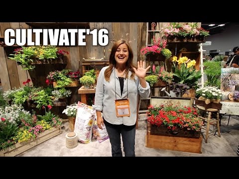 Cultivate'16