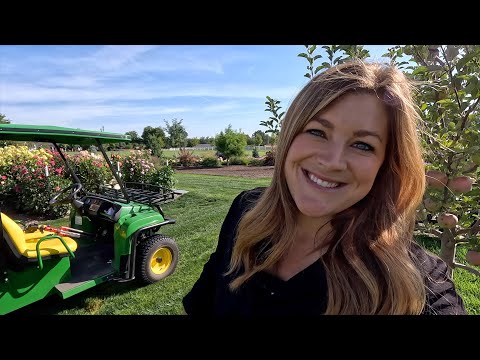 Setting Up a Weather Station, Peach Harvest & Planting Russian Sage!