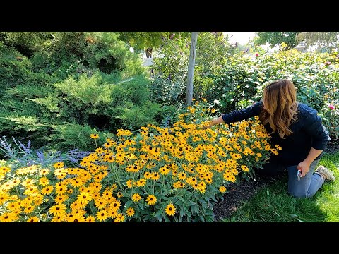 Garden Maintenance - Wednesday Zone!