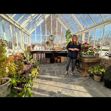 Winter Houseplant Tour in the Hartley!