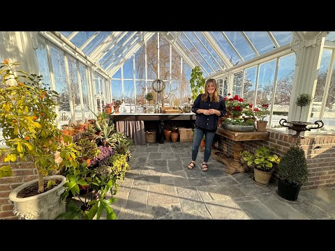 Winter Houseplant Tour in the Hartley!