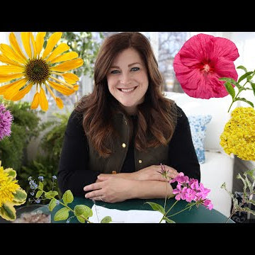 New Perennials for 2020