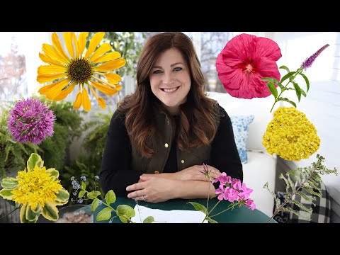 New Perennials for 2020