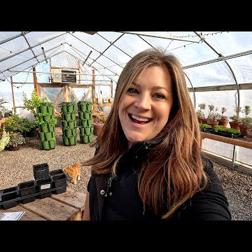 Planting Rudbeckia & Echinops Seeds + Potting Up Geranium Seedlings!