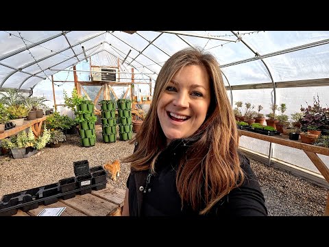 Planting Rudbeckia & Echinops Seeds + Potting Up Geranium Seedlings!