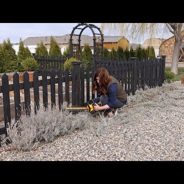 Cutting Back Lavender!