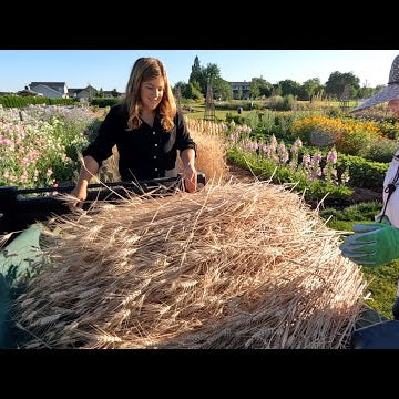 Harvesting Wheat & Making Wreaths with My Family!