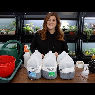 Starting a Few Seeds Using the Winter Sowing Method + Seed Haul!