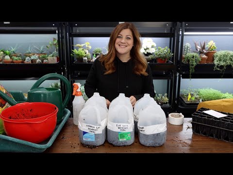 Starting a Few Seeds Using the Winter Sowing Method + Seed Haul!