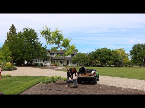 Planting Honey Locust Trees + Picking Out Stones & Marking a New Pathway!