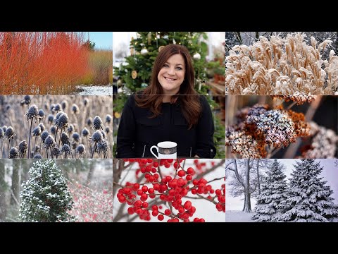 Planting for Winter Interest (for Beginners)!