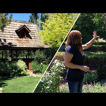 Garden Tour Pt 2