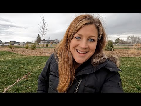 Flower Bed Maintenance & Fertilizing in the South Garden (+ New Lilacs)!