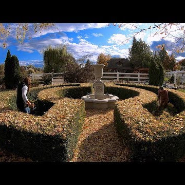 We Planted 3,000 Bulbs!