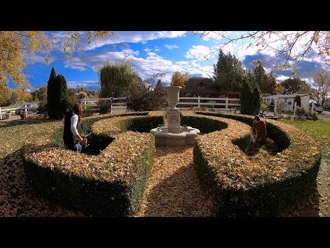 We Planted 3,000 Bulbs!