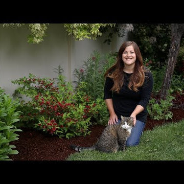 Sonic Bloom Red Weigela Update