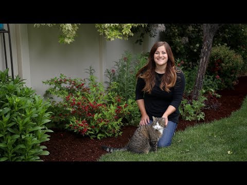Sonic Bloom Red Weigela Update