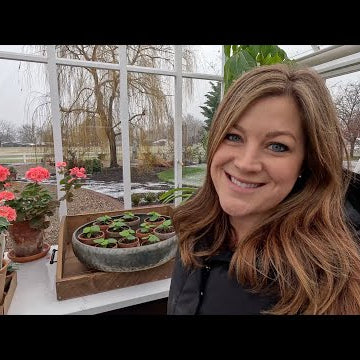 Tour of New Load at the Garden Center + Picking Out/Planting Houseplant Hostess Gifts!