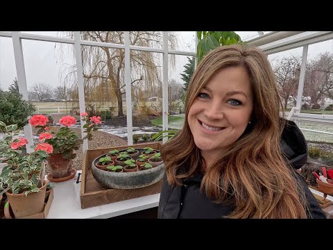 Tour of New Load at the Garden Center + Picking Out/Planting Houseplant Hostess Gifts!