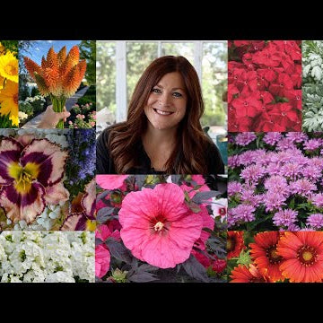 15 Perennials that Love the Heat!