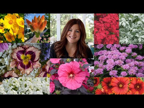 15 Perennials that Love the Heat!