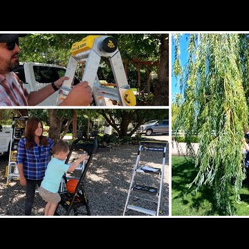 Gorilla Ladder Giveaway & Pruning Our Weeping Willow!