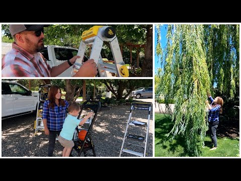 Gorilla Ladder Giveaway & Pruning Our Weeping Willow!