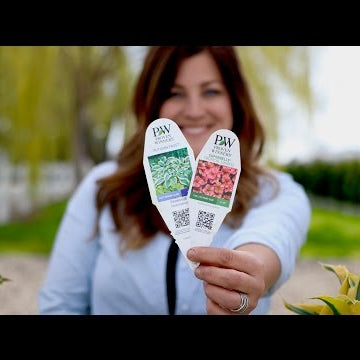 How to Read a Plant Tag