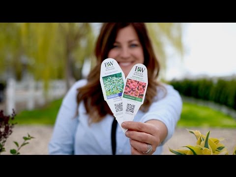 How to Read a Plant Tag