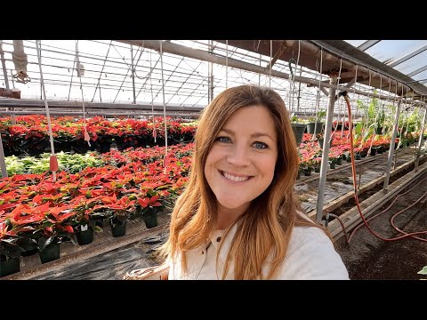 Flea Market/Antiquing/Garden Center Shopping with my Mom!