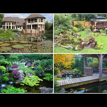 Inspiring Ponds & Water Features!