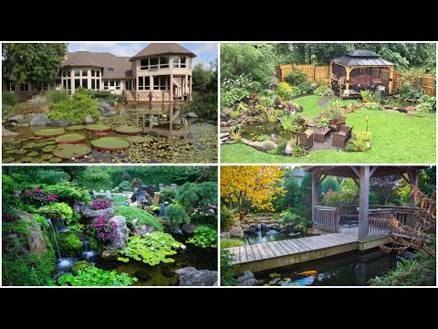 Inspiring Ponds & Water Features!