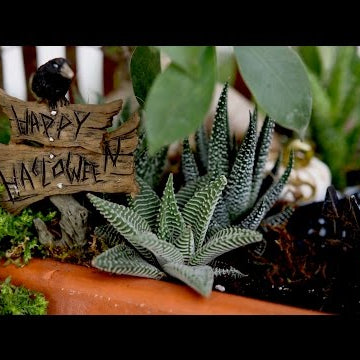 Mini Halloween Garden