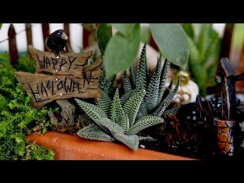 Mini Halloween Garden